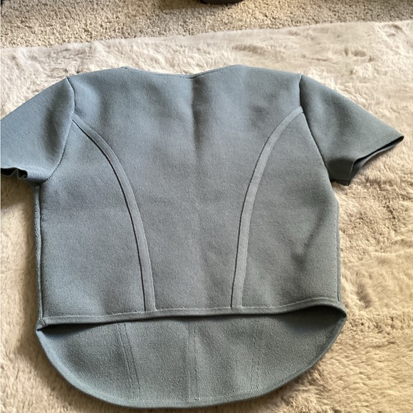 Babaton Aritzia Sculpt Knit Bustier Top - Picture 4 of 5